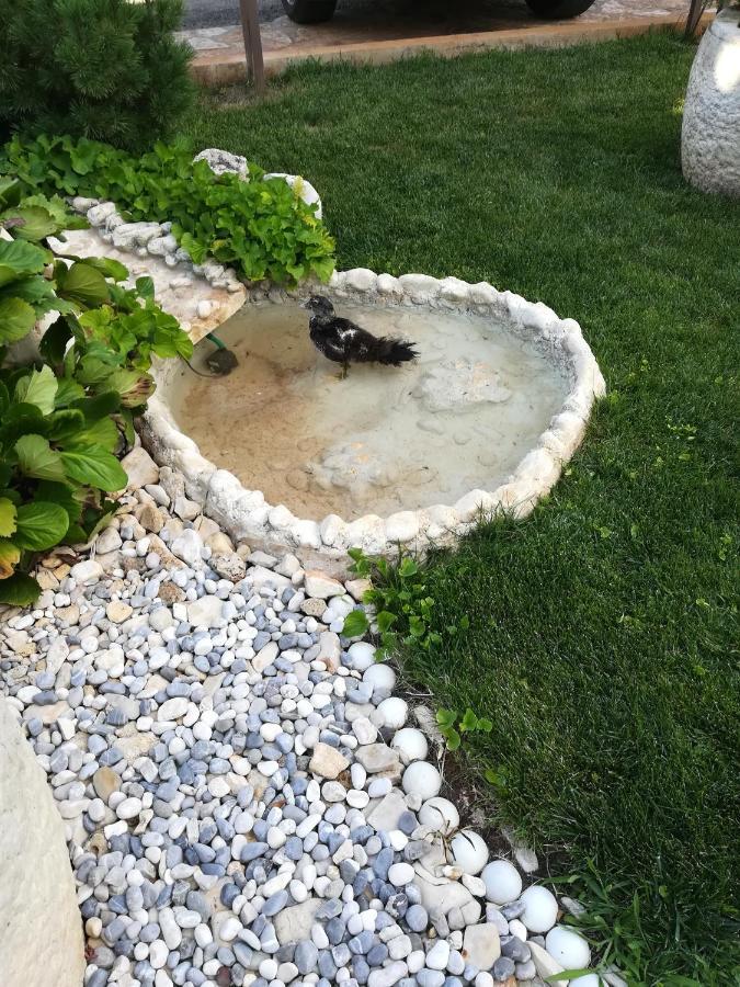Apartmani Villa Otilija Porec Esterno foto