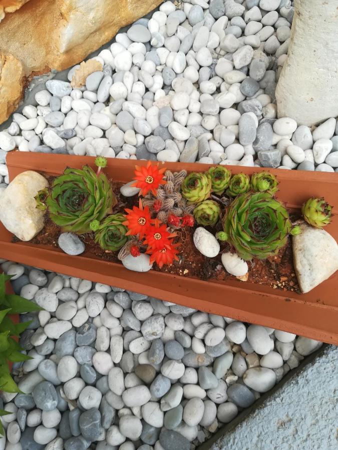 Apartmani Villa Otilija Porec Esterno foto